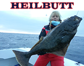 Heilbutt