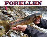 Forellen
