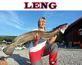 Leng