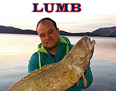 Lumb